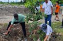 DLH bersama PT PELNI (Persero) Tanam pohon di kawasan TPA Buku Deru-Deru. (Dok. DLH)